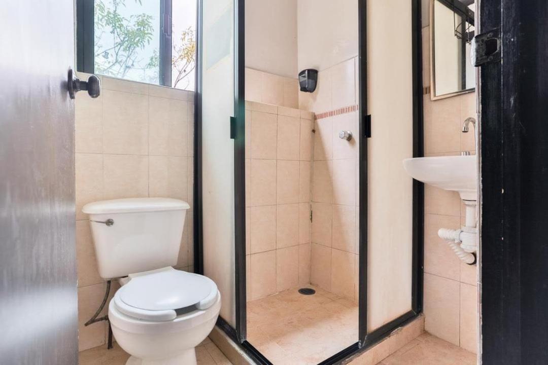 Hostal Roma Meksika Dış mekan fotoğraf